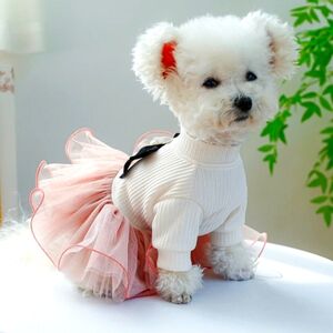 Pet dress